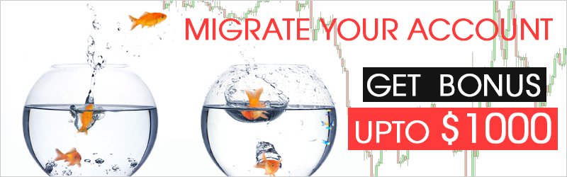 Migrate forex account offer