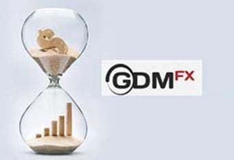 Fixed Income Program – GDMFX