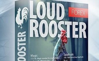 Free Forex EA Loud Rooster – Fresh Forex
