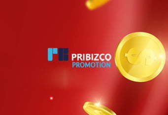 Bonus + Bonus program – PRIBIZCO
