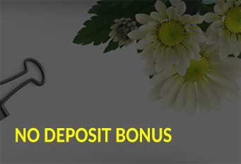€50 No Deposit Bonus – MKD FX
