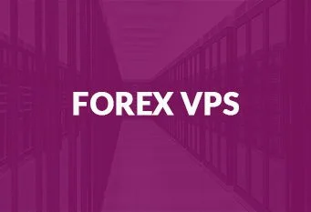 Real Exness Trading Account Report: Statistics and Facts