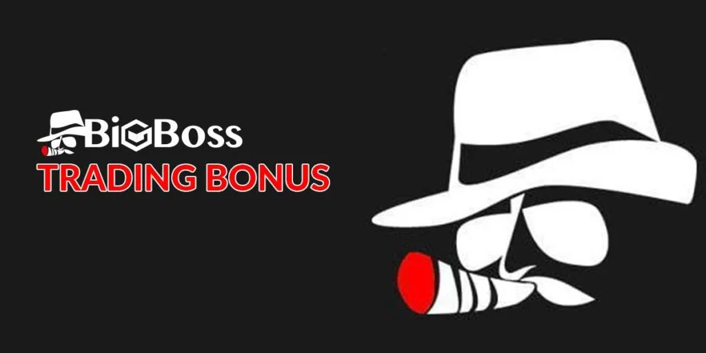 bigboss promotion