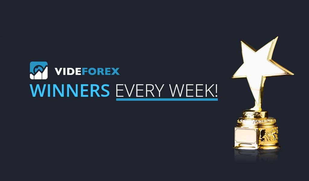 Videforex Trading contest