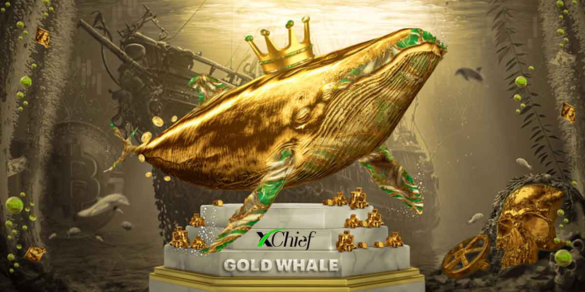 Xchief Win GOLD WHALE Contest