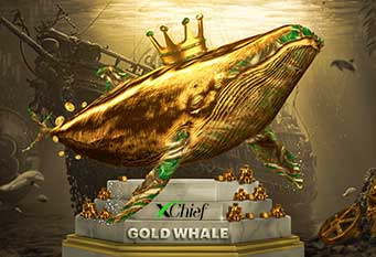Gold Whale, Live Contest – XChief